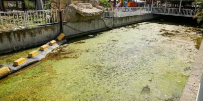 Seferihisar’da esnafı endişelendiren görüntü