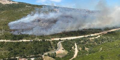 İzmir'de iki ilçede orman yangını