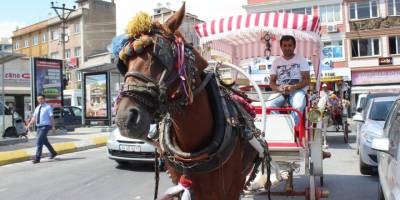 Düğün sezonu açıldı, faytoncular zamanla yarışmaya başladı