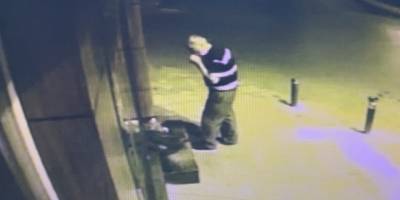 Tadına baktığı çileği beğenince kasasıyla birlikte çaldı: O anlar kamerada