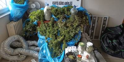 Ankara’da evinin balkonunda esrar yetiştiren şüpheli gözaltına alındı