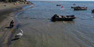 "Tepeli pelikan", hayatını kurtaran Aydınlı balıkçıyı terk etmedi