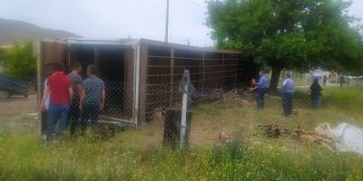 Elazığ’da hayvan yüklü tır yan yattı, 170 hayvan telef oldu