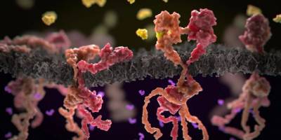 'Tarihte bir ilk': Deneysel ilacı kullanan rektum kanseri hastalarının tamamında tümörler kayboldu