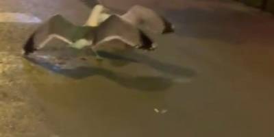 Uluslararası Üniversite Tiyatro Bölümleri Festivali’nde ödüller sahiplerini buldu