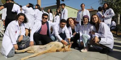 Dokuz Eylül Üniversitesi ve Kiraz Belediyesi can dostlara sahip çıkıyor