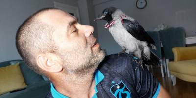 Arazide bulduğu yavru kargaya sahip çıktı, evinde bekliyor