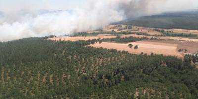 Çanakkale'de ormanlık alana sıçrayan yangın kontrol altına alındı