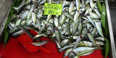 Çanakkale'de balık tezgahlarında fiyatlar arttı