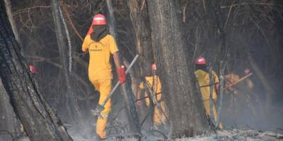 Marmaris'teki orman yangınına havadan ve karadan müdahale ediliyor