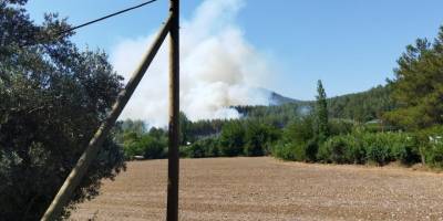 Son dakika: Seydikemer’de orman yangını çıktı