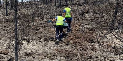 Büyükşehirden can dostlara yardım