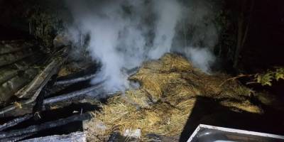 Ahırda çıkan yangın, satışı tamamlanan 10 kurbanlık hayvanı telef etti