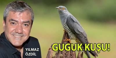 Arada bir şifa niyetine Yılmaz Özdil'in 'Guguk Kuşu' yazısı okunmalı!