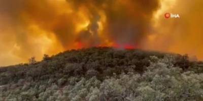 İspanya’da orman yangını: 2 bin 300 kişi tahliye edildi