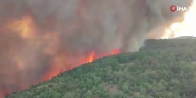 Slovenya'da orman yangını: 4 köy tahliye edildi