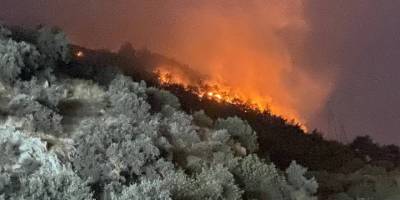 Söke'deki orman yangınında alevler geceyi aydınlattı