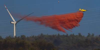 Aydın'daki orman yangını kontrol altına alındı