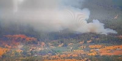 Seferihisar'daki yangınlar kontrol altında