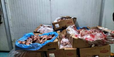 Bursa'da, tarihi geçmiş tavukların bulunduğu işletmeye baskın