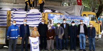 Koçarlı'da küçük üreticiye Aydın Büyükşehir Belediyesi'nden yem desteği