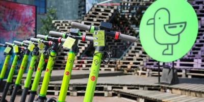 Martı, New York Borsası'na açılıyor