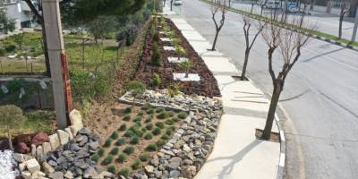 Manisa'da su tasarrufu için uygulanan "kaya bahçeleri" yaygınlaşıyor