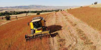 Gümüşhane karabuğdayın başkenti olma yolunda ilerliyor