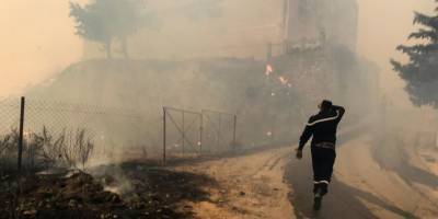 Cezayir’deki orman yangınlarında can kaybı 26’ya yükseldi