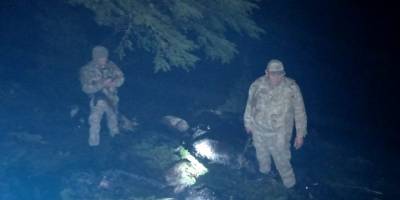 Yıldırım düştü 41 hayvan telef oldu