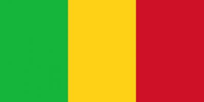 Mali’de geçici başbakan belli oldu