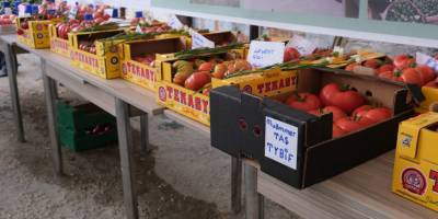 Bu köyün göç problemi yok