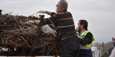Başkan ve profesör leylekler için belediye binasının çatısına çıktı