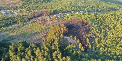 İzmir'de çıkan orman yangın kontrol altına alındı