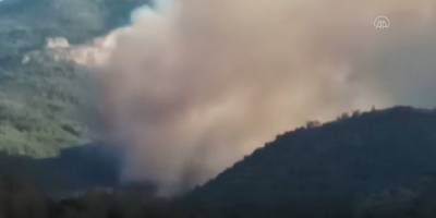 Mersin'de orman yangını