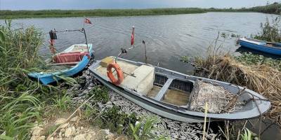Hatay'daki balık ölümlerinin sebebi "yetersiz oksijen"