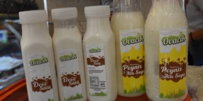 Aydın'da deve sütü peynirinin tanıtımı yapıldı