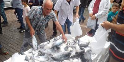 Zonguldak'ta palamut bolluğu fiyatlara yansıdı