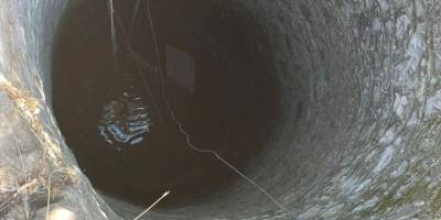 Bodrum'da su kuyusuna düşen buzağı kurtarıldı