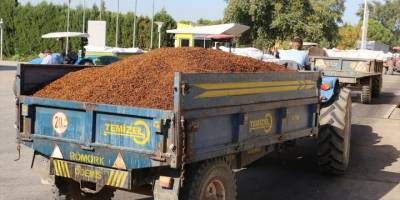 TMO, Manisa'da günlük kuru üzüm alım kapasitesini iki katına çıkarıyor