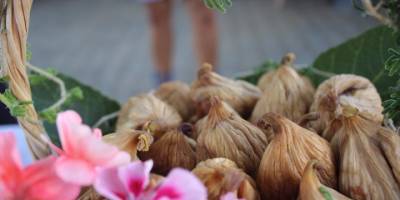 Bayındır'da incir festivali yapıldı