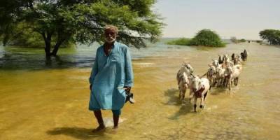 Pakistan'da seller ülkenin ekonomisini zorluyor, yardım çağrıları yükseliyor