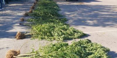 Manisa'daki uyuşturucu operasyonunda 2 zanlı yakalandı