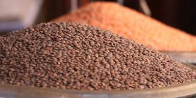 Uluslararası kuruluşlardan "küresel gıda krizinin acilen ele alınması" çağrısı