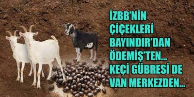 İzmir Büyükşehir'in diktiği çiçeklerin dibine, bundan böyle Van Merkezden gelecek koyun-keçi gübresi dökülecek!