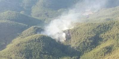 Muğla'da orman yangını!