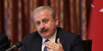 TBMM Başkanı Şentop'tan AP’deki Türkiye karşıtı açıklamalara tepki