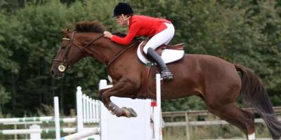 Binicilikte Cumhuriyet Kupası Yarışmaları, İzmir'de yapılacak