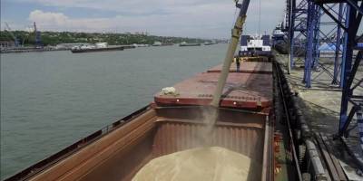 Rus milletvekili Şeremet, tahıl anlaşmasının bozulmasından 3 ülkeyi suçladı