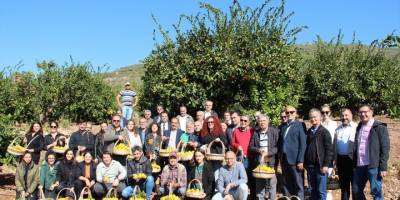 Türkiye'nin mandalina ihracatı hedefi yükseldi